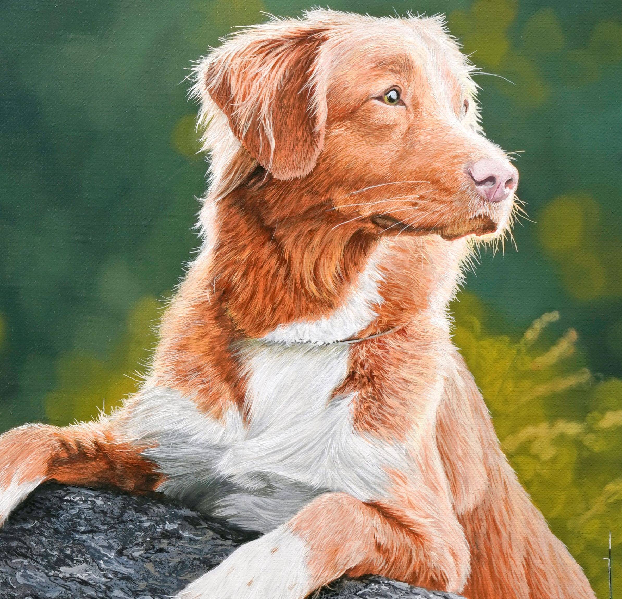 New Lesson 'Dog on a Log'  Now available on MJS Tv