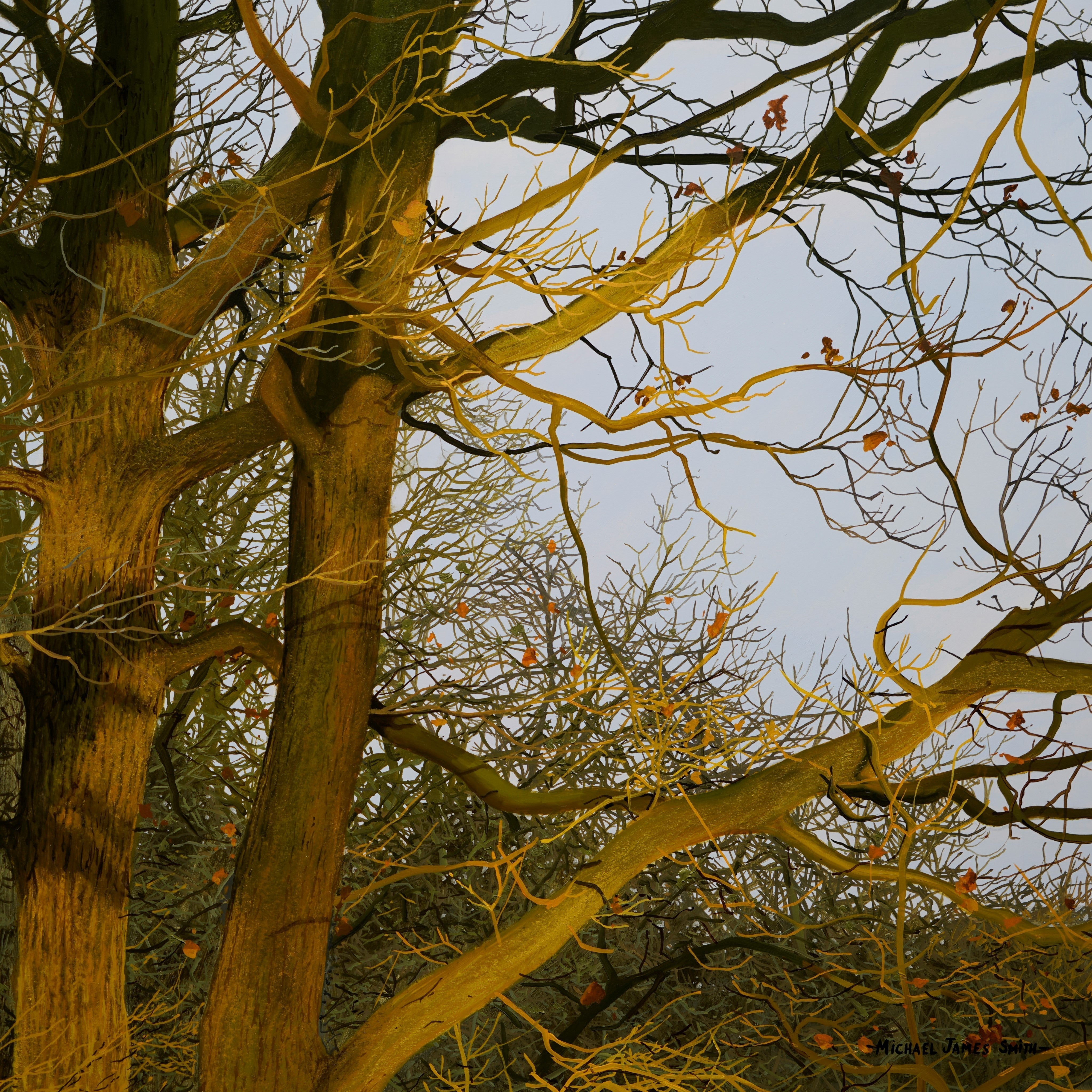 New Lesson 'Tree Branch Study' Available Now On MJS TV