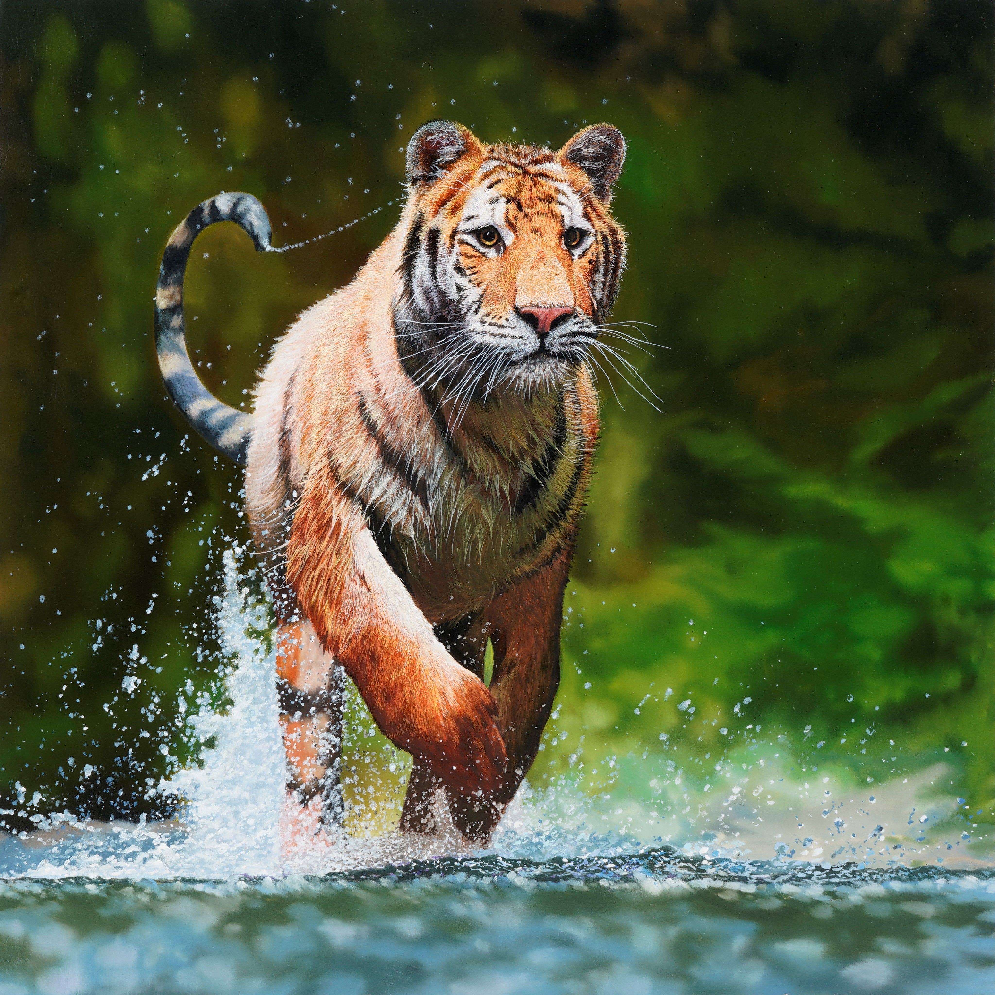 New Lesson 'King of the Forest' Now Available on MJS Tv