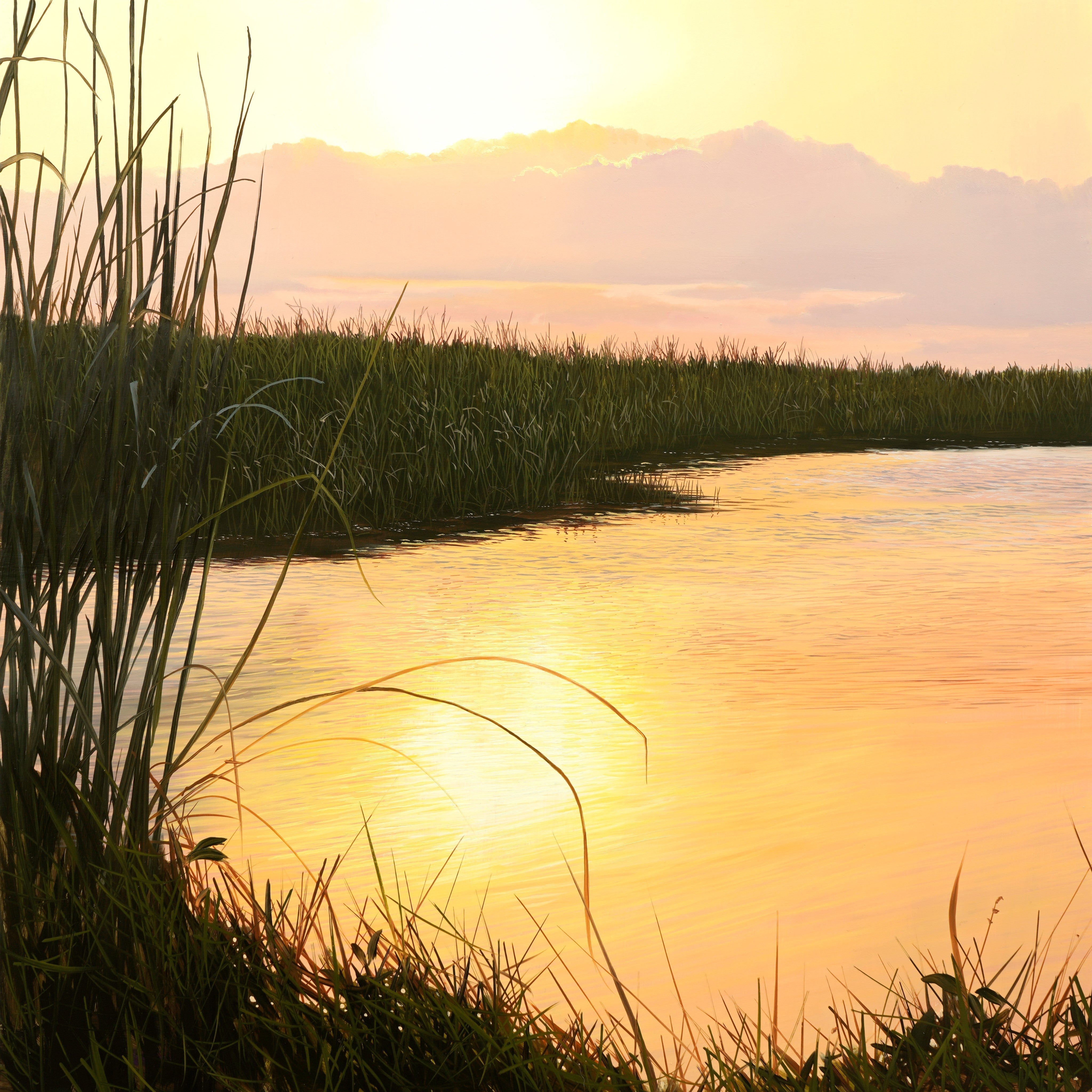 New Lesson 'Everglade Sunset' Now Available on MJS Tv