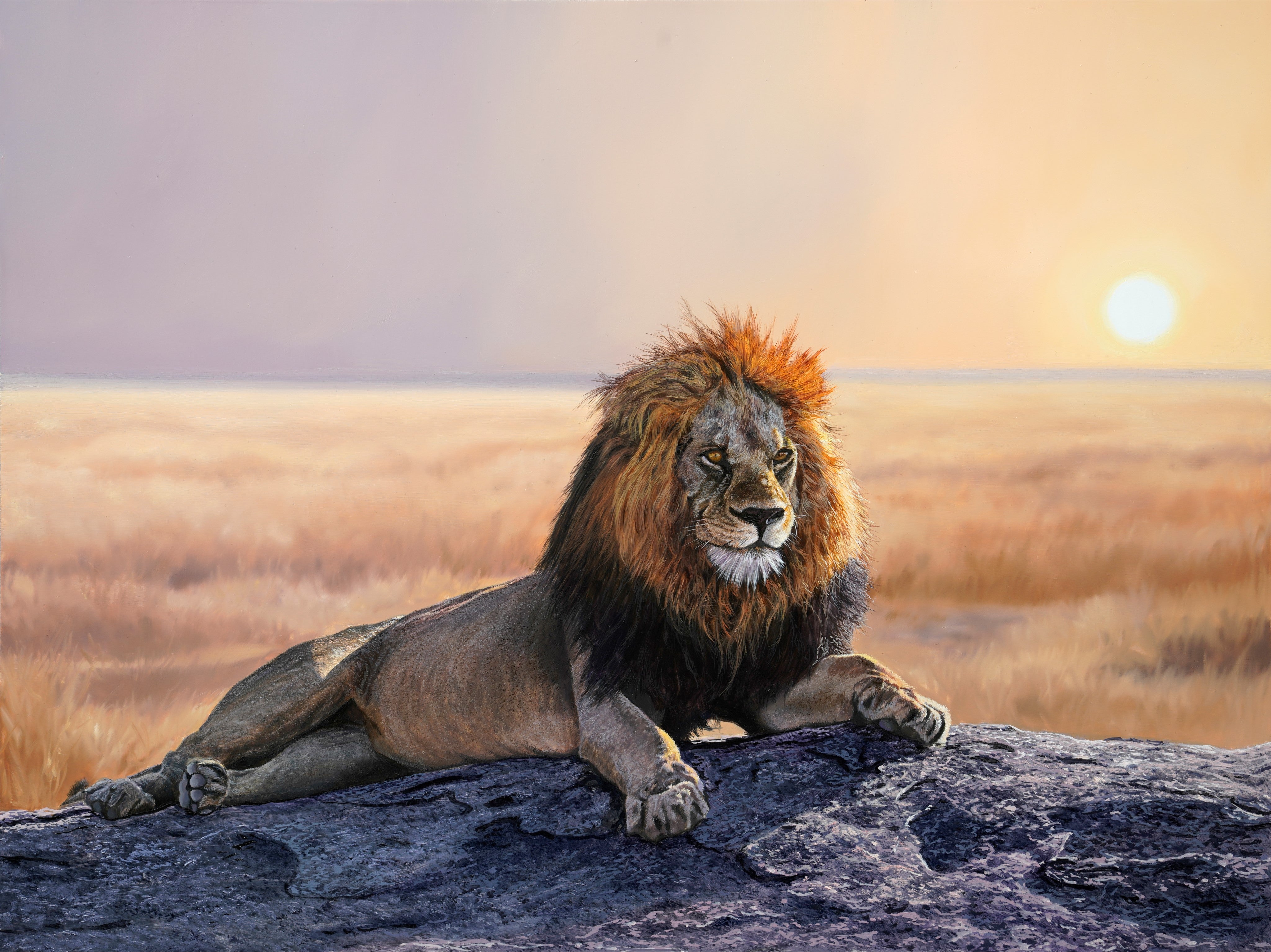 New Lesson 'The Lion' now available on MJS TV