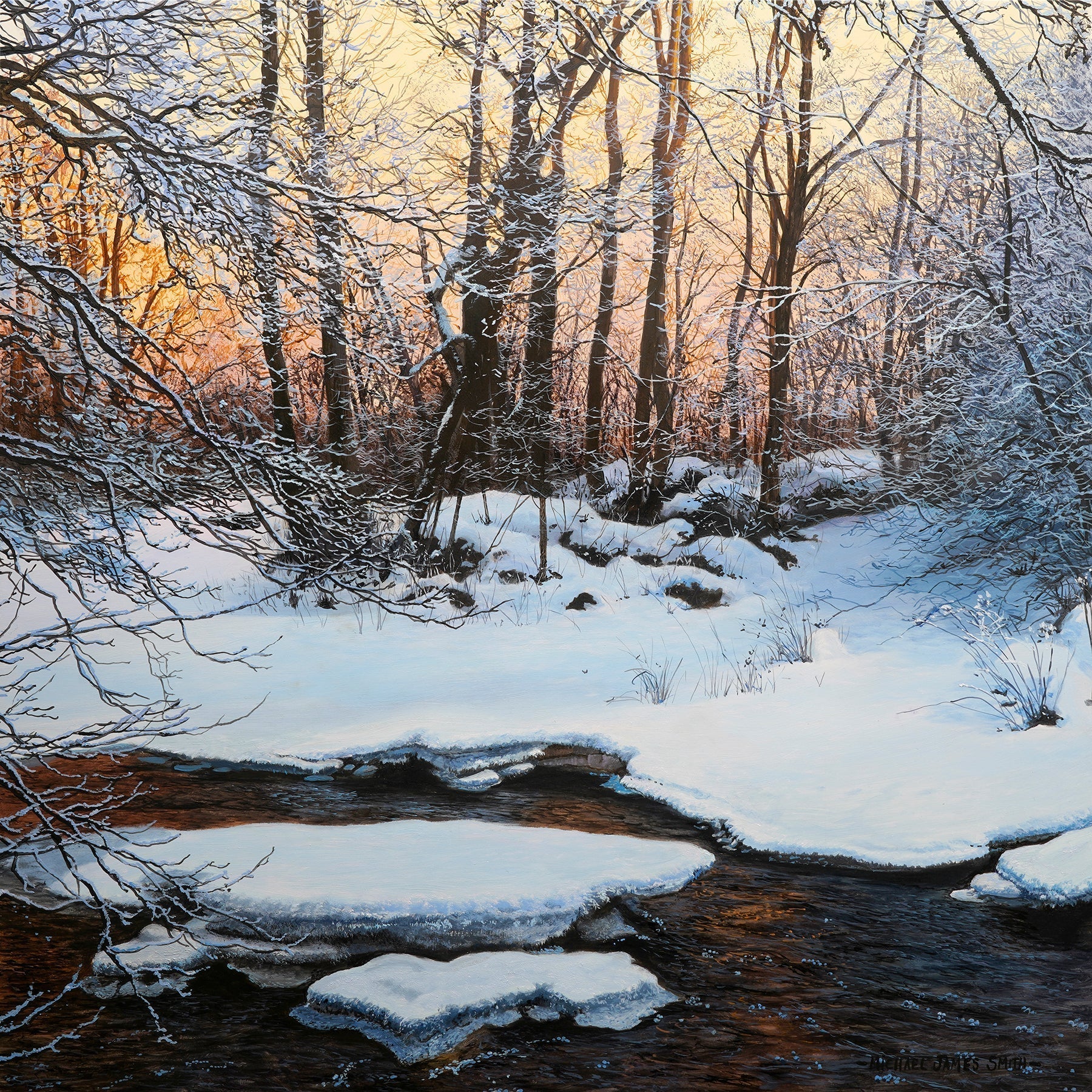 49th lesson now live on MJS Tv! Winter Light