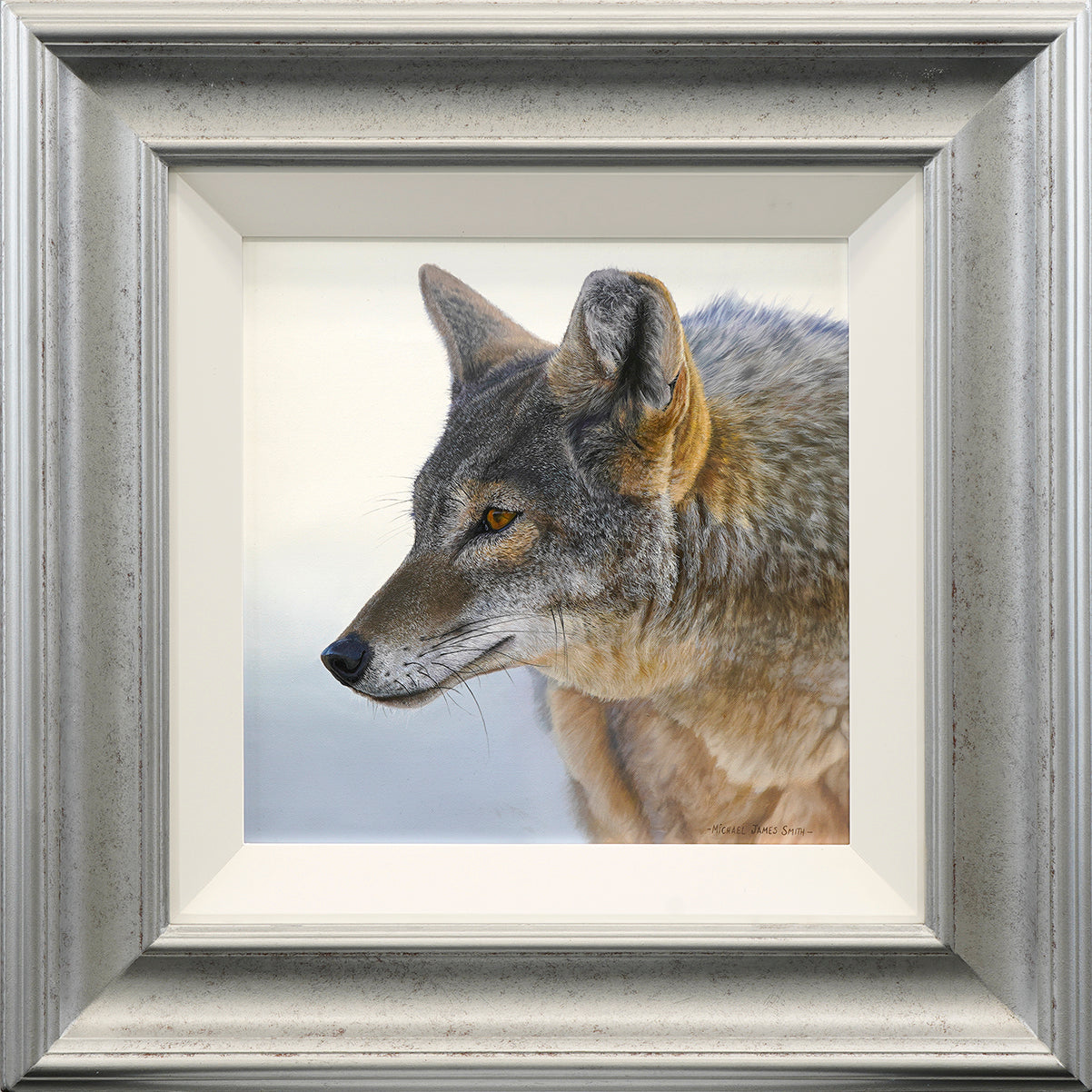 "Coyote" Original Oil Painting