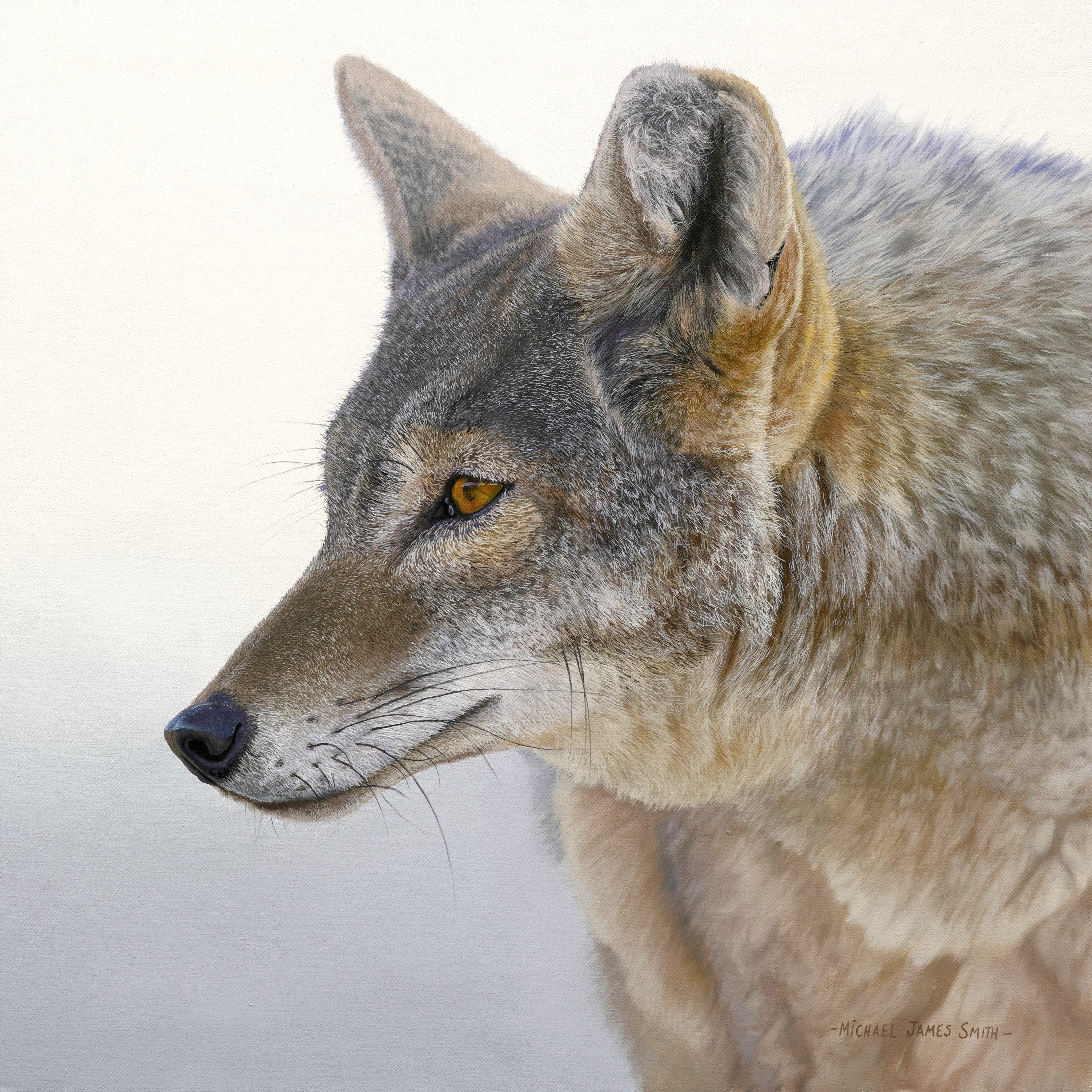 "Coyote" Original Oil Painting