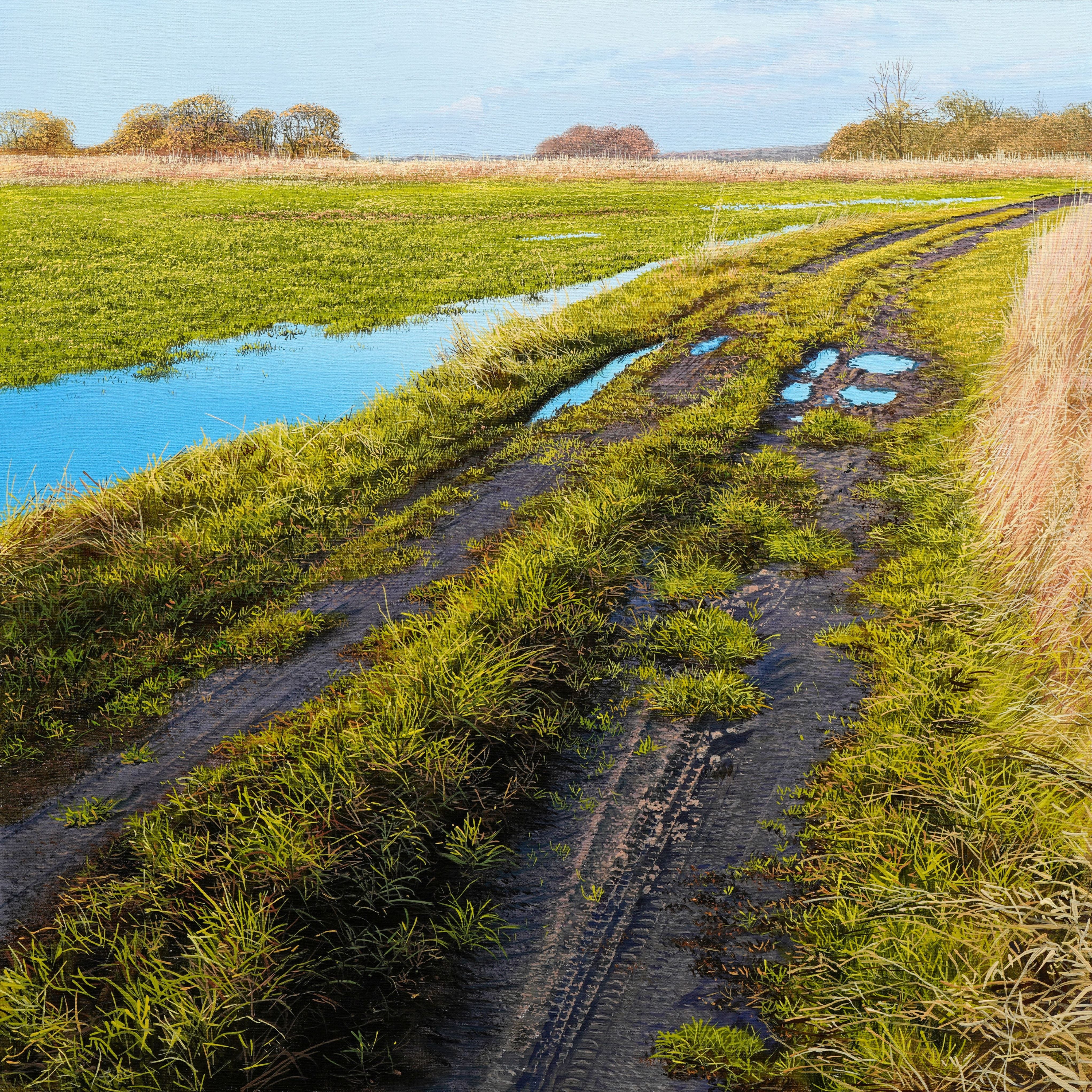 "Sunshine & Puddles" Original Oil Painting
