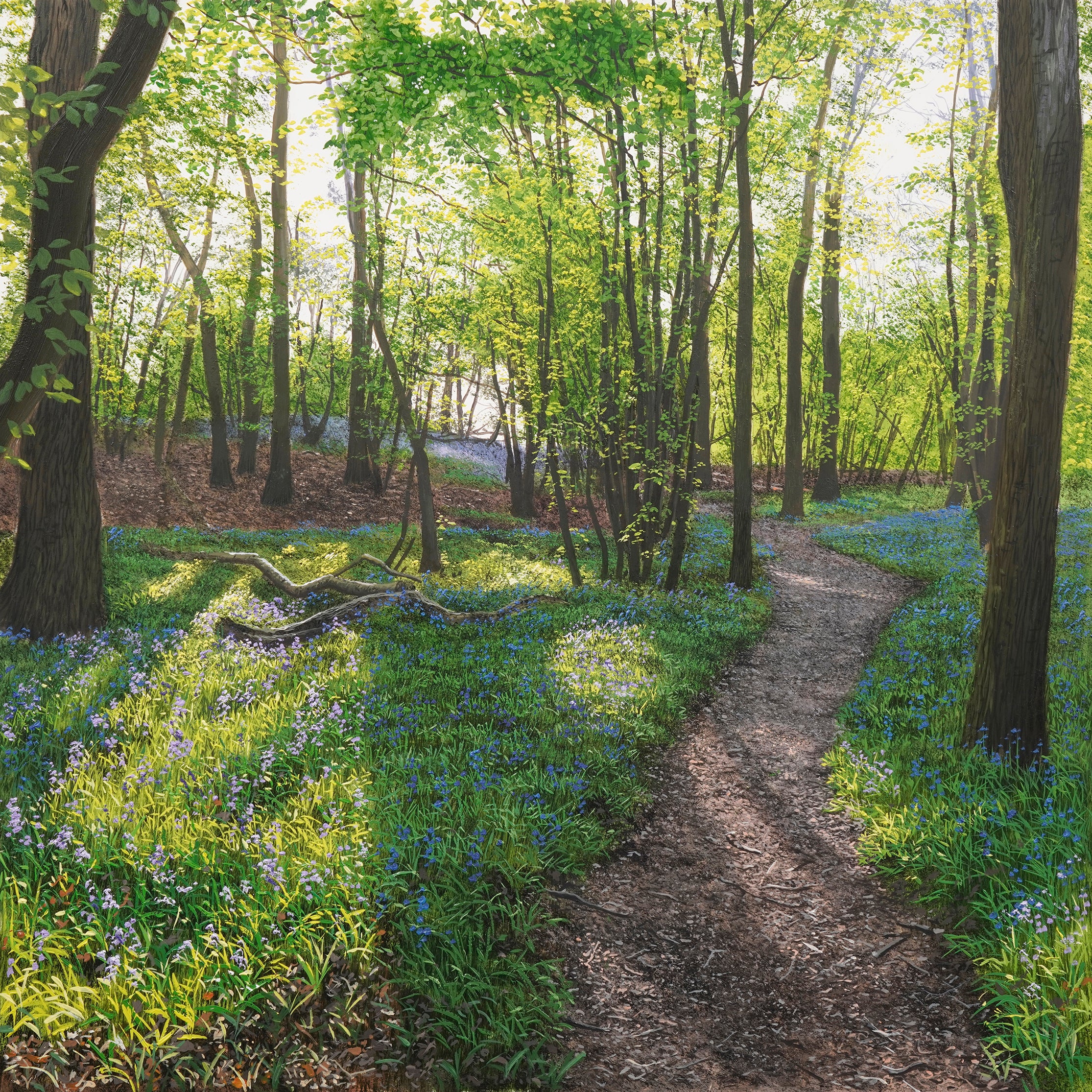 "Blakes Wood" Open edition print