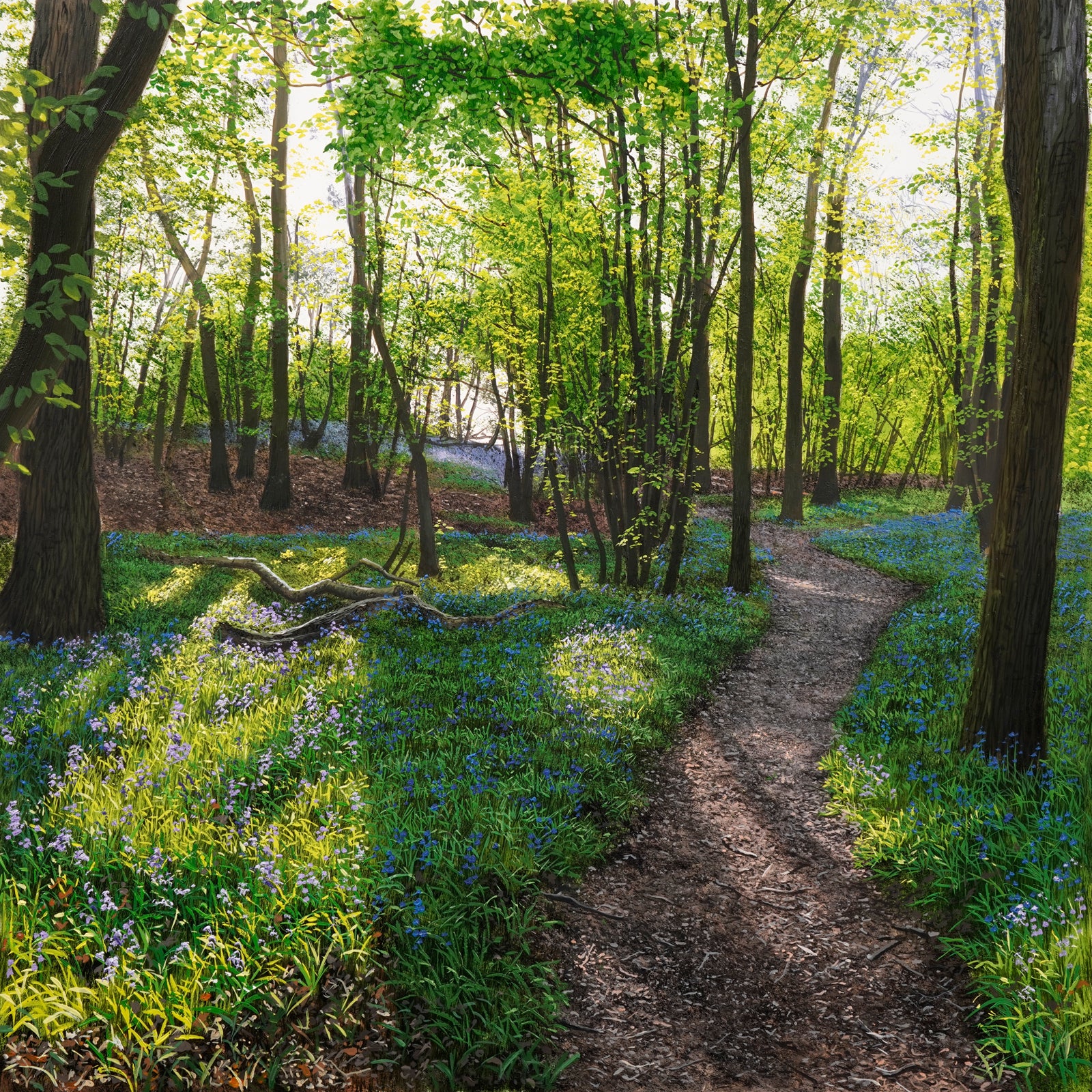 Blakes Wood | Original Oil Painting