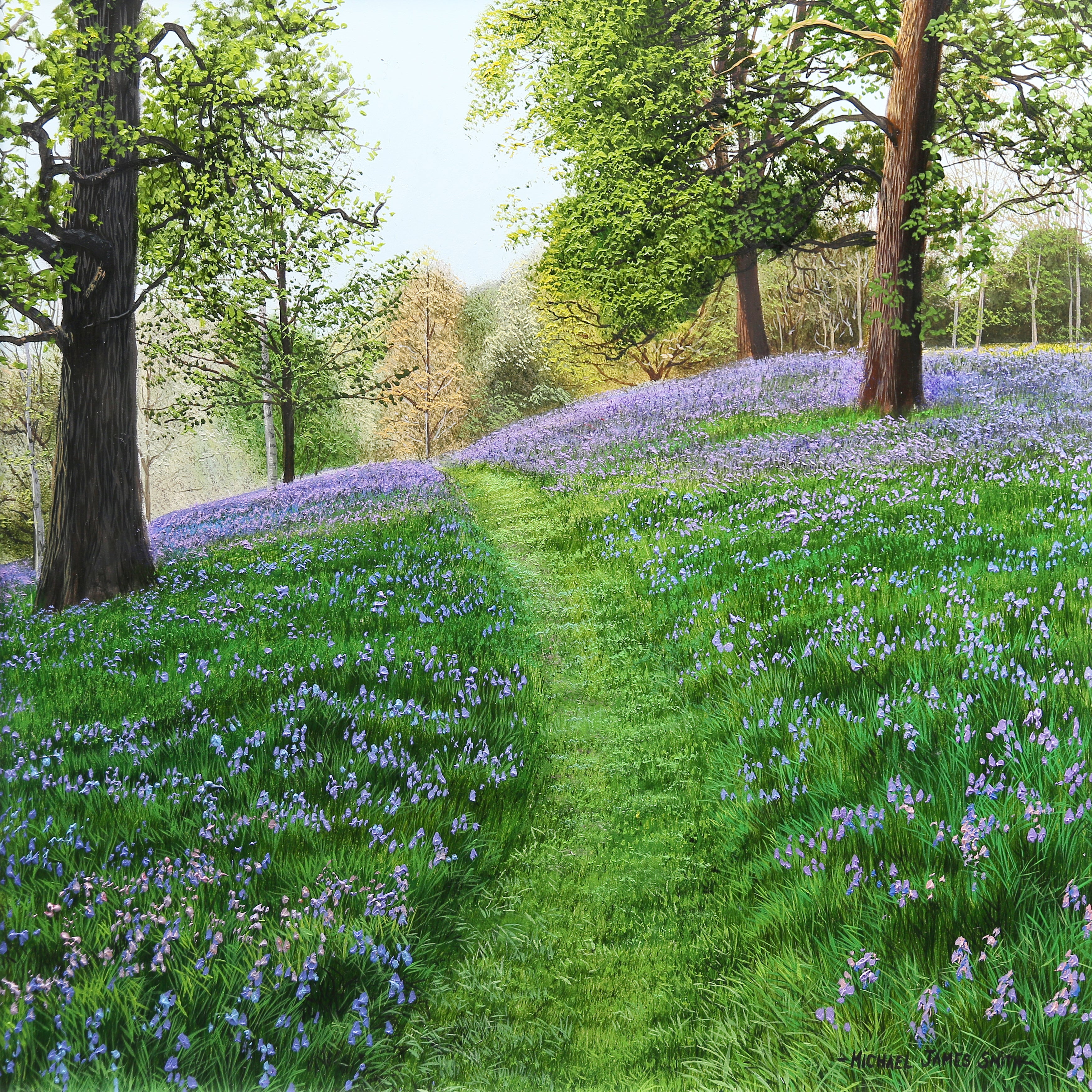 Bluebell Trail | Original Oil Painting