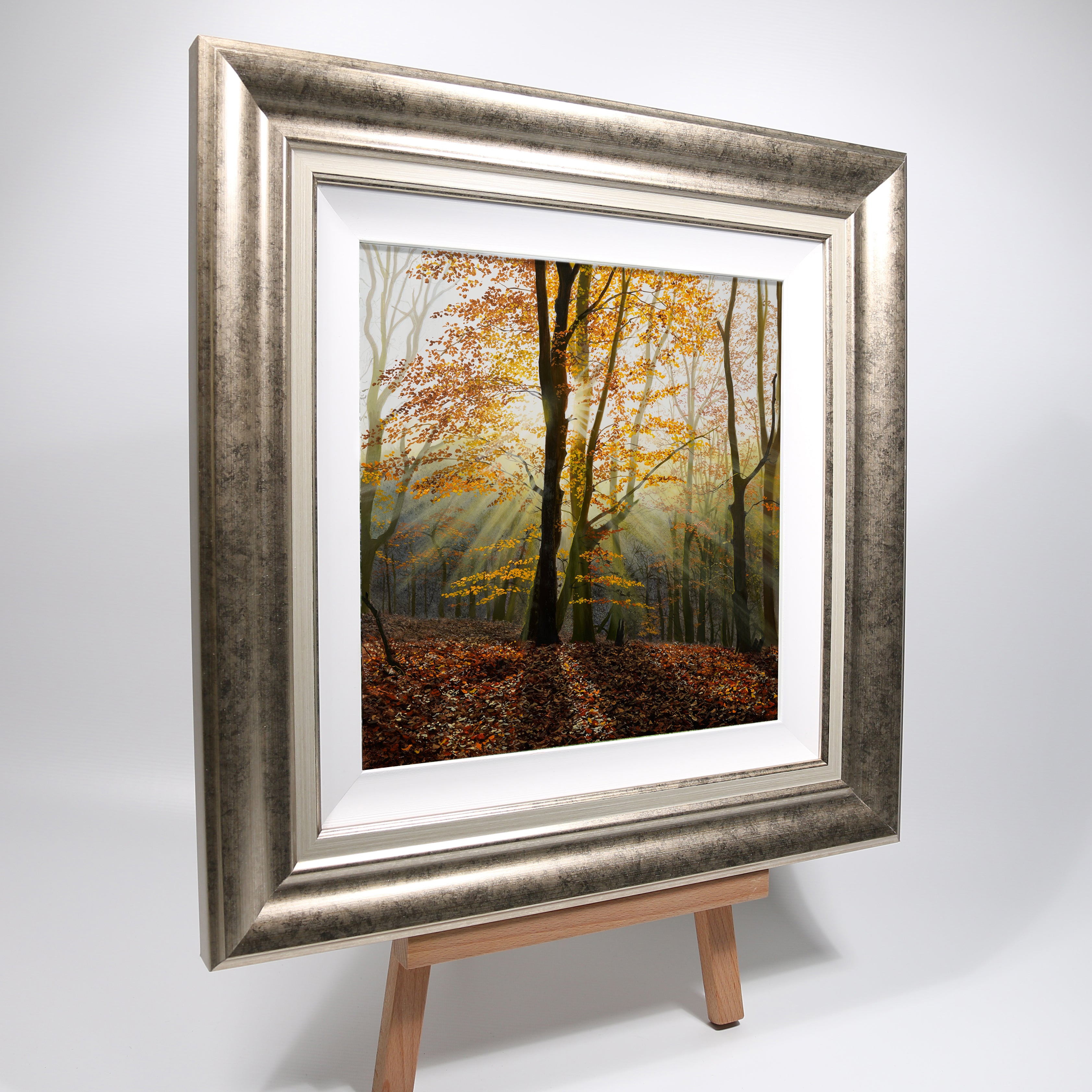 Rays of Light | Original Oil Painting