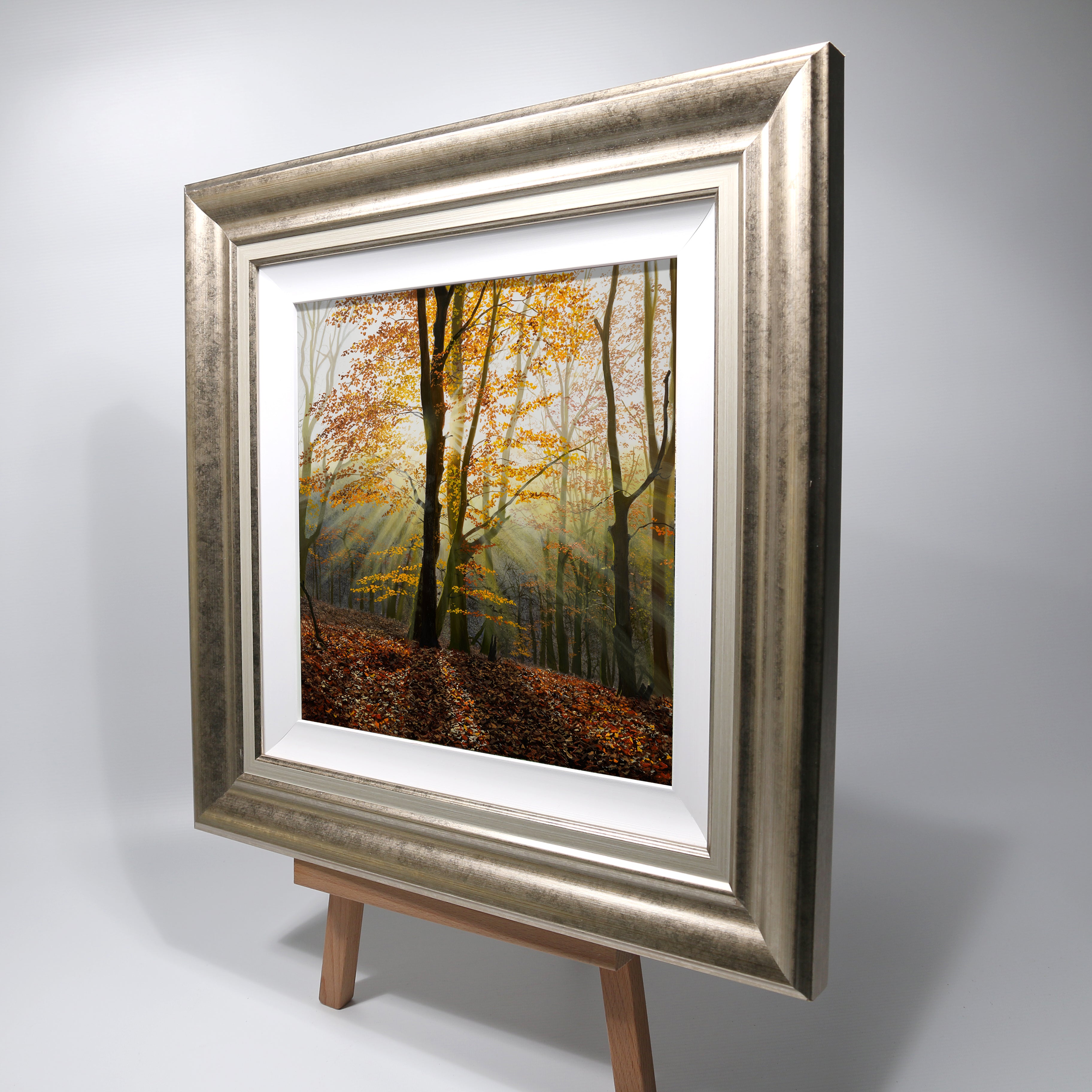 Rays of Light | Original Oil Painting