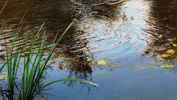 Painting realistic water