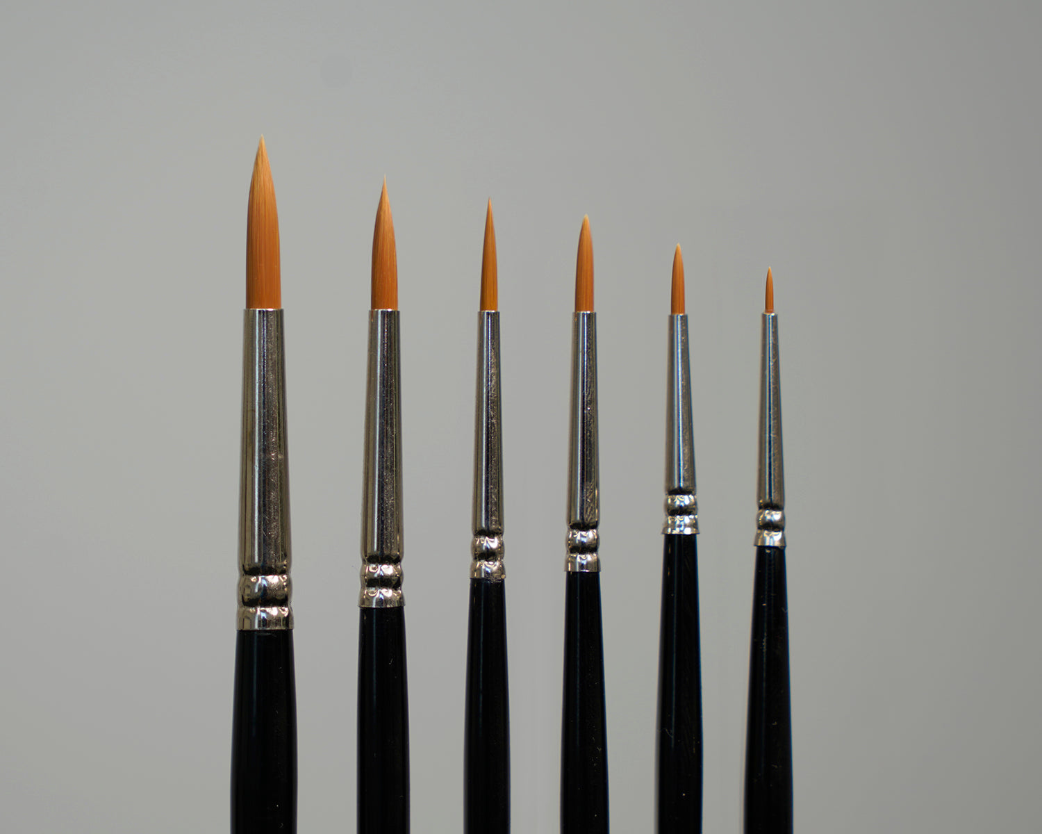 Pointed Brush Variety Set