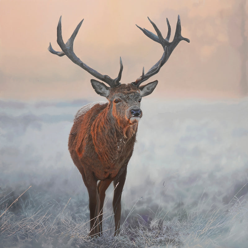 "Christmas Stag" Open edition print
