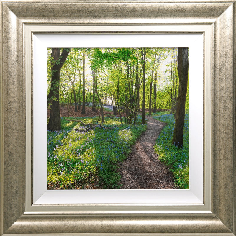 Blakes Wood | Original Oil Painting
