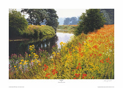 "Poppies" Limited Edition Print
