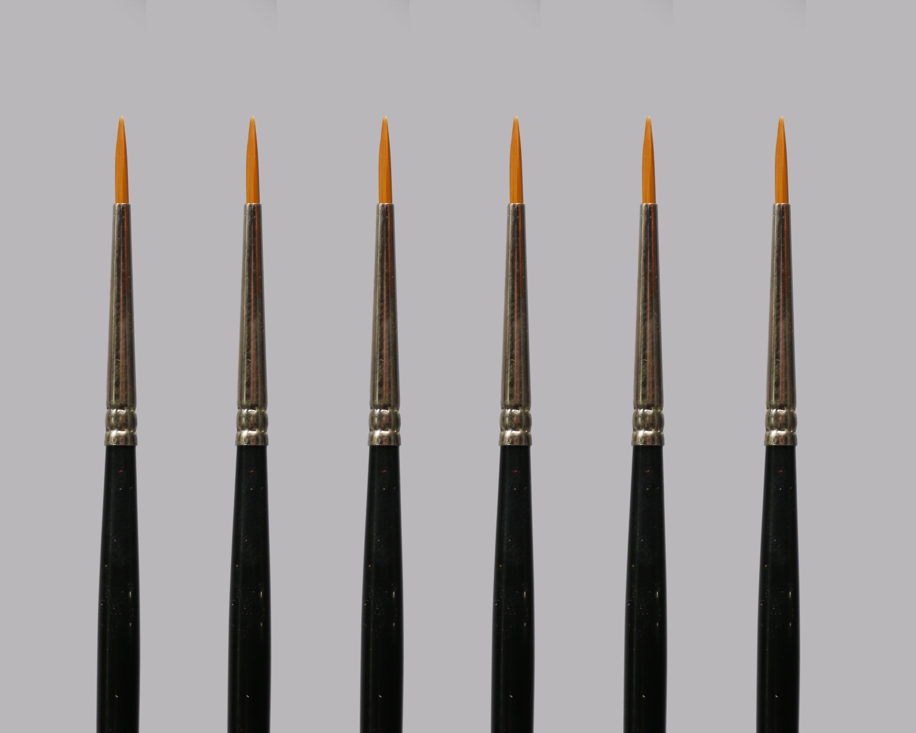 6 Piece "Pointed Brush" Set - Series 2
