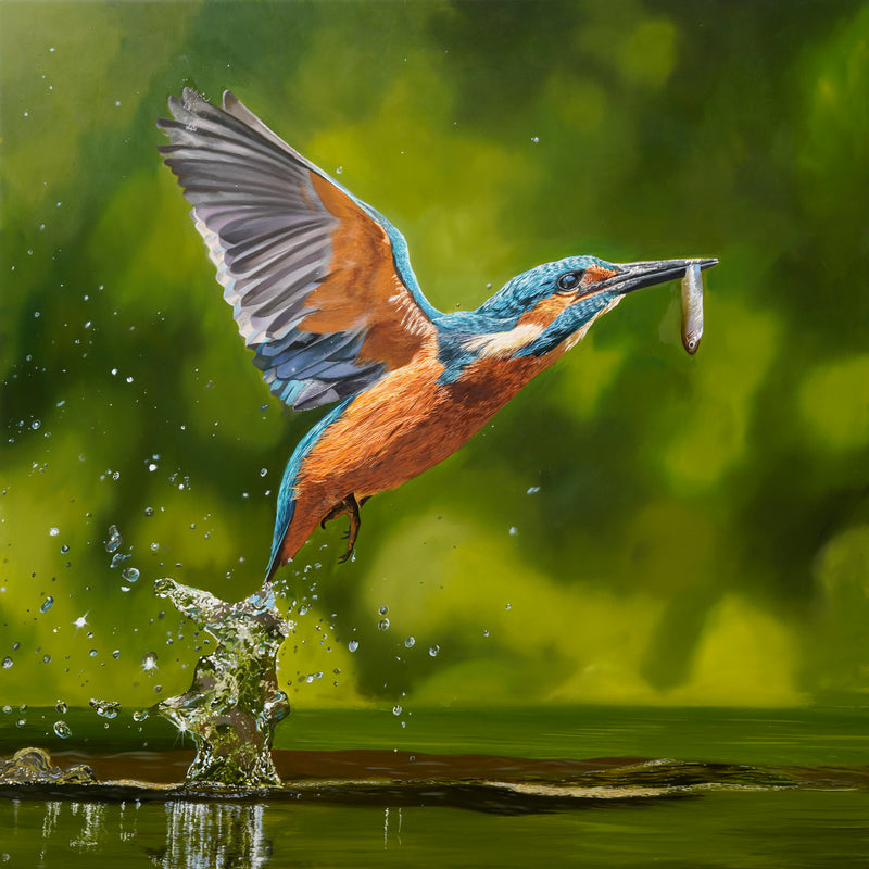 "The Kingfisher"  Original Oil Painting